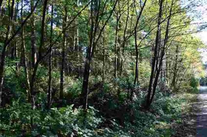 $55,000
Meander down a shady lane to the location of this special land.
