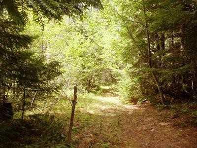 $55,000
Private Acreage with water, power and phone
