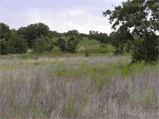 $56,700
10.800000 acres of land for sale in Springtown, Texas, United States
