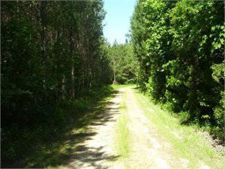 $576,000
320.000000 acres of land for sale in Lisman, Alabama, United States