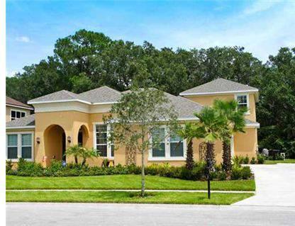 $579,000
Wesley Chapel 5BR 4BA, Magnificent newly built home (2011)
