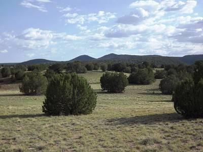 $57,500
38 Acres of Heavenly Hilltop, Grass & Juniper