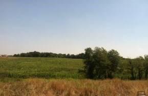 $57,500
Columbia, This is a really nice 2.5 acre lot in Wessel Farms