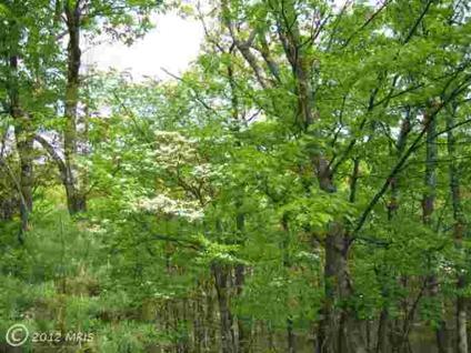$57,900
Burlington, 20 ACRES OF WOODED LAND LOTS OF PRIVACY AT A