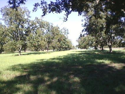 $58,000
NEW LISTING! Prime 2.4-acre lot with pecan orchard