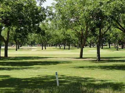 $59,000
Granbury, Beautiful treed golf course lot in Pecan.