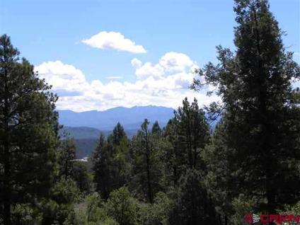 $59,000
Pagosa Springs Real Estate Land for Sale. $59,000 - Mike Heraty of