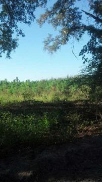 $59,900
Bell, 20 ACRES- Greenbelt status means low taxes!