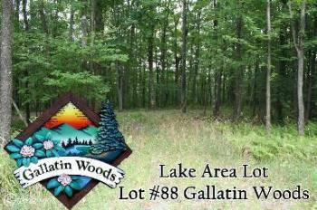 $59,900
Deer Park, Lot #88 Treetop Way, .42 acre wooded lot
