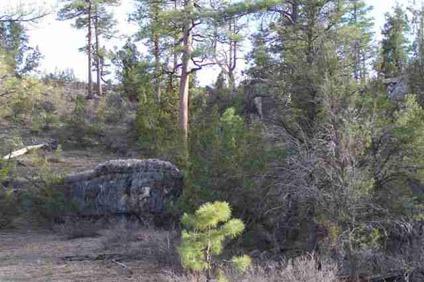 $59,900
Heber, Super location! This 1 acre home site has lots of