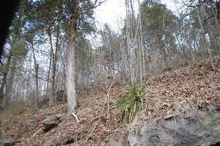 $60,000
Ewing, #2271 - , VA - YOU CAN ENJOY YOUR OWN OIL WELL ON 15