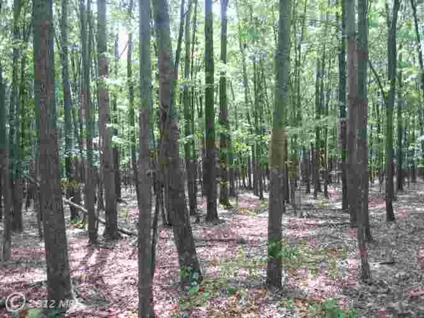 $61,250
Slanesville, JUST ENOUGH LAND FOR PRIVATE GET AWAY OR FULL