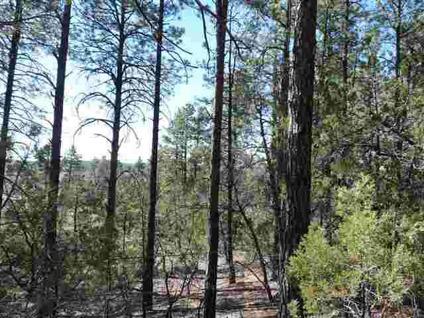 $62,000
Pinetop, Lots of Beauty!! Rock formations with Character