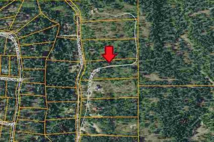 $62,500
Seeley Lake, NIce level acreage buiding tract with views.