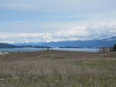$64,000
2 Acres - Views of the Islands with-In Flathead Lake