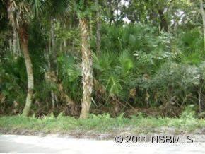 $64,000
Edgewater, Great 5 acre parcel to build your dream home.