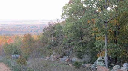 $64,000
This 40 acres is perfect land for hunting. The land is rolling and nice.