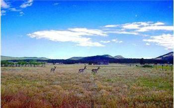$64,900
5 Acre Building Lot overlooking Helena Valley and Lake Helena