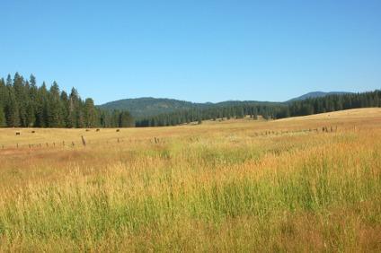 $650,000
240 Ac Ranch in Latah County, Idaho