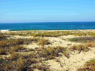 $650,000
For Sale 3 beach FRONT parcels near Los Cabos, Mexico