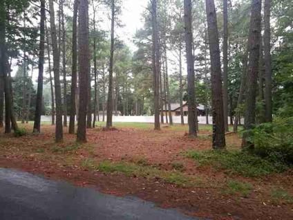 $65,000
Delmar, Beautiful partially wooded lot in a quiet