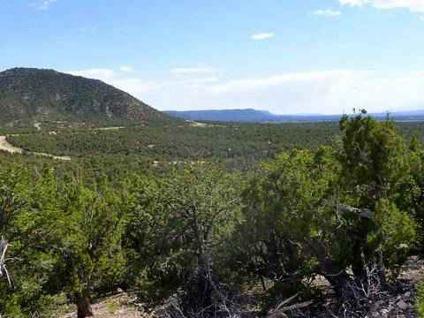 $65,000
LOOK!! New LOW PRICES on NEW MEXICO Horse Properties!