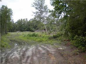 $67,800
Large acreage for your home, horses, or hu...