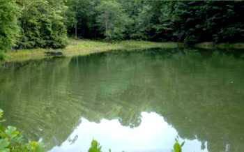 $67,900
Want a Pond That Has Bass, Bream and Catfish?