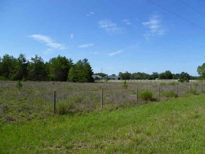 $68,000
Morriston, Levy county's premier equine community with