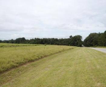 $699,000
Hwy 21 Corridor: Commercial Tract