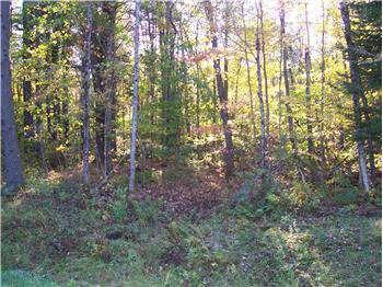 $69,900
11.25 acres of wooded land in Benson, Hamilton County