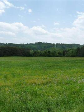 $69,900
5 Beautiful Flat Lots Perfect to Build Your Dream Home!