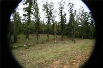 $69,900
Cottondale, Cleared lot ready to build! Fabulous lot sits in