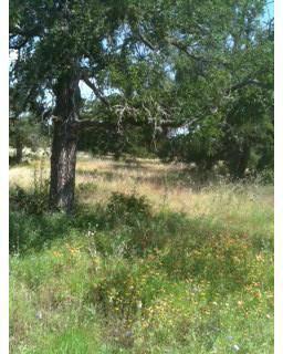 $69,900
Spacious, level lot with plenty of room to build the home of your dreams.
