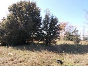 $6,000
Ocala, ONE OF A VERY FEW LOTS WITH A LARGE TREE