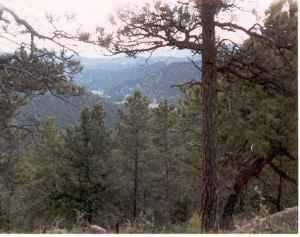 $6,500
20 Acres of Beautiful Remote Mountain Property