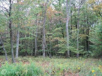 $71,900
Oakland, WHEN YOU ARE READY TO BUILD YOUR LAKE HOME