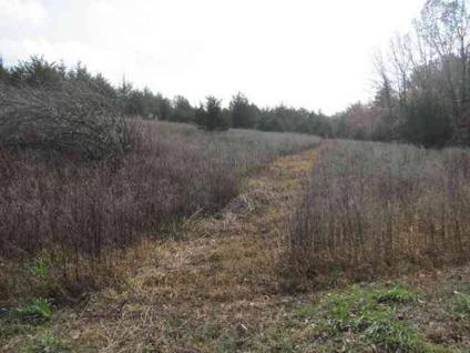 $73,500
Attention Hunters! Here is a great hunting tract with good populations of deer