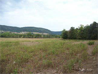 $74,500
33.080000 acres of land for sale in Leslie, Arkansas, United States