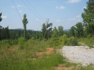 $74,900
18.5 acres reduced for quick sale,Priced below market value!!
