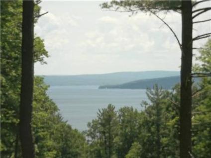 $74,900
Spectacular Keuka Lake View: East Valley Rd, Branchport