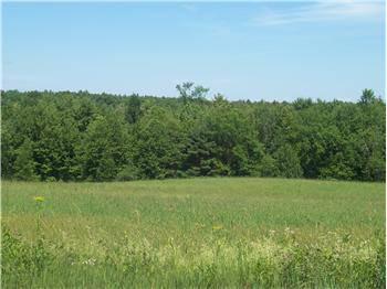 $75,000
16.8 acres of cleared and wooded land