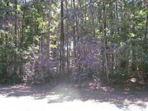 $75,000
Frankford, Nicely wooded lot. Mobile Homes OK.