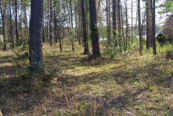 $75,000
Hattiesburg, One of the last few vacant waterfront lots