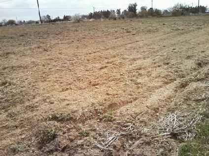 $75,000
Madera, Build your dream home on this approximately one acre
