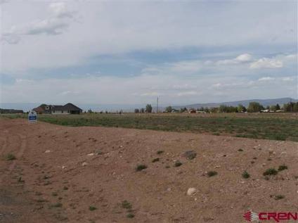 $75,000
Montrose Real Estate Land for Sale. $75,000 - Michael Williams of