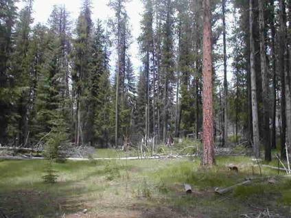$75,000
Seeley Lake, Level 2 acre building tract on the Double Arrow