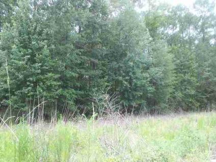 $770,000
Rincon, 83.03 acres just West of GA. Previously used 13.1