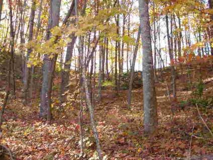 $77,000
Subdevelopment,Land, Subdevelopment,Land - FRANKLIN, NC