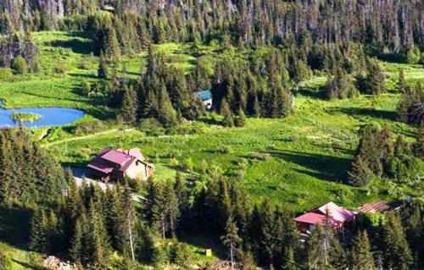 $780,000
Stunning Alaska Log Home on 20 View Acres